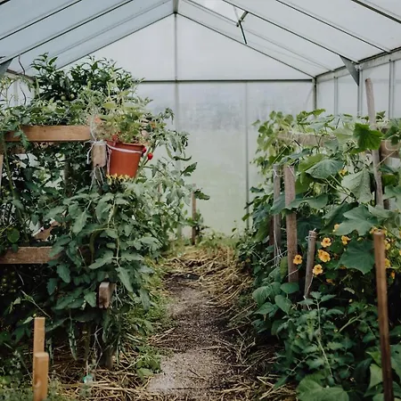 Panorama Leidingerhof 4* Мондзее