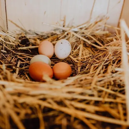 Hotel Panorama Leidingerhof 4*