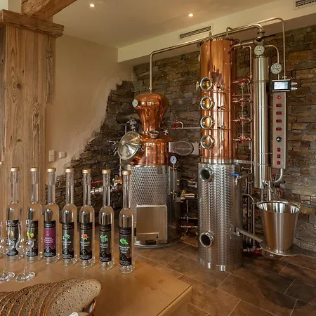 Panorama Leidingerhof Mondsee