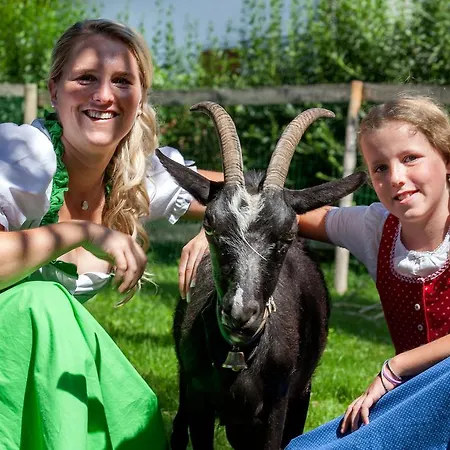 Panorama Leidingerhof Mondsee