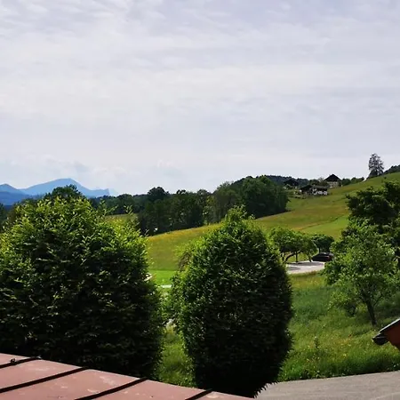 Panorama Leidingerhof Отель 4*