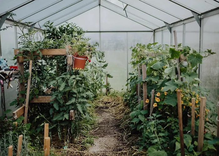 Panorama Leidingerhof 4* Mondsee