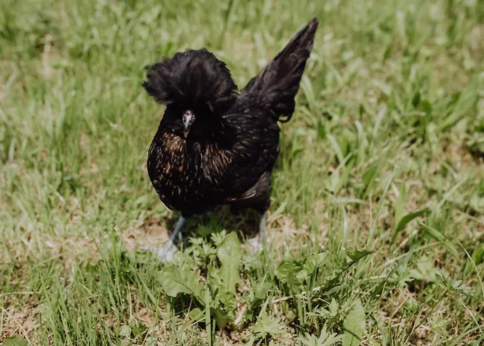 Panorama Hotel Gasthof Leidingerhof 4*
