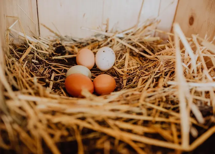 Ξενοδοχείο Panorama Hotel Gasthof Leidingerhof 4*