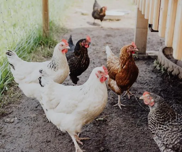 Panorama Hotel Gasthof Leidingerhof Ξενοδοχείο