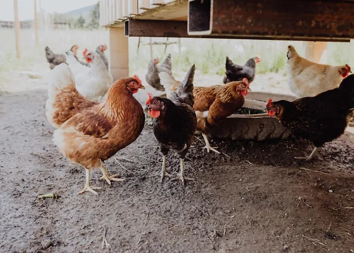 Ξενοδοχείο Panorama Hotel Gasthof Leidingerhof Mondsee