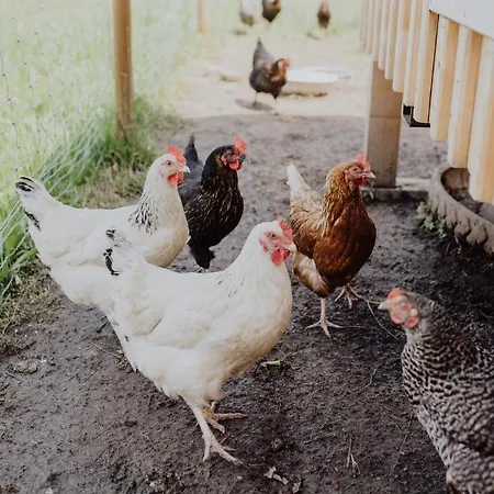 Panorama Leidingerhof Отель