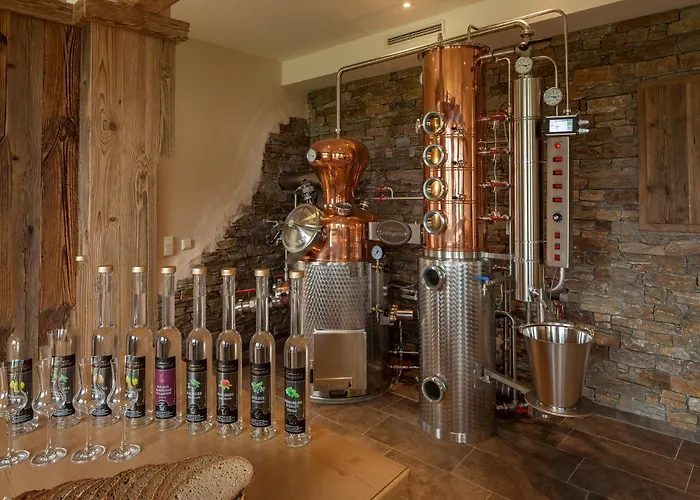 Panorama Leidingerhof Mondsee