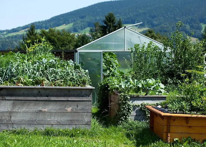 Panorama Leidingerhof 4*